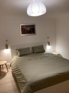 een slaapkamer met een groot groen bed met een licht bij Le nid des mésanges in Buffon