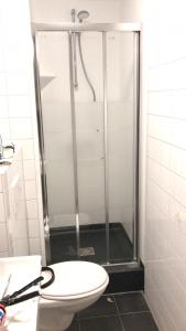 a bathroom with a toilet and a glass shower at Vakantiewoning de Schelp in Ellemeet