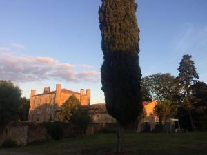 un árbol alto frente a un castillo en Demeure de 11 chambres avec piscine partagee et wifi a Pech Luna, en Pech-Luna