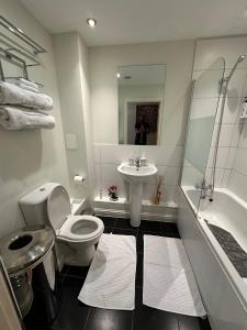 a bathroom with a toilet and a sink and a shower at Long term cozy flat in Hendon
