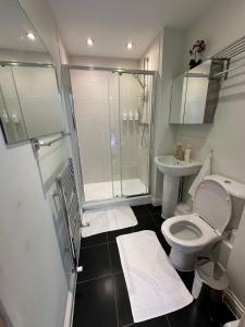 a bathroom with a shower and a toilet and a sink at Long term cozy flat in Hendon