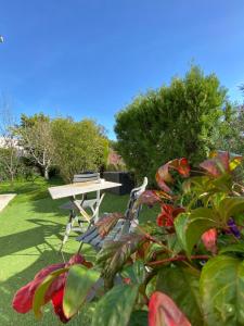 Vonkajšia záhrada v ubytovaní Studio Occitanie 20 m2 tout équipé avec jardin