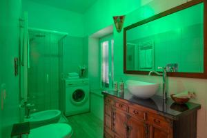 a green bathroom with a sink and a washing machine at Centro e Spiaggia ambra in Anguillara Sabazia