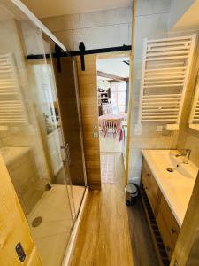 a bathroom with a shower and a sink at Résidence Bero Bisto in La Mongie