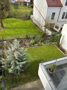 eine Luftansicht auf einen Garten mit Pinien in der Unterkunft Cube - Ferienhaus mit Garten und Terrasse in Eberbach in Eberbach