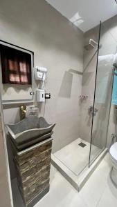 White Pyramids Inn في القاهرة: حمام مع دش ومغسلة ومرحاض