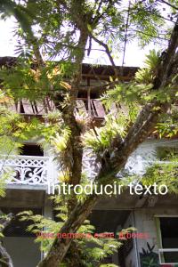 Fotografie z fotogalerie ubytování Hostal Vista Hermosa v destinaci San Rafael