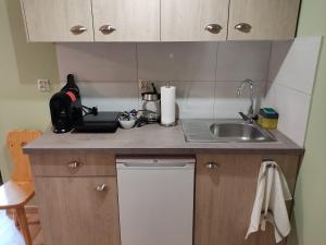 Kuchyňa alebo kuchynka v ubytovaní Apartamenty u drwala