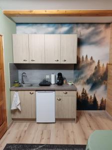 Kuchyňa alebo kuchynka v ubytovaní Apartamenty u drwala