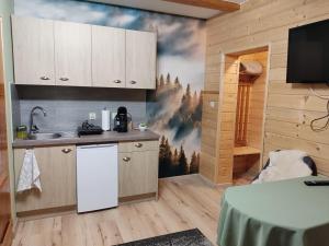 Kuchyňa alebo kuchynka v ubytovaní Apartamenty u drwala