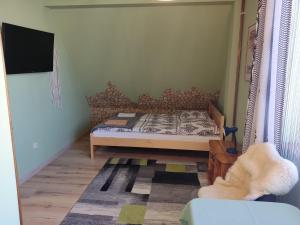 Televízia a/alebo spoločenská miestnosť v ubytovaní Apartamenty u drwala