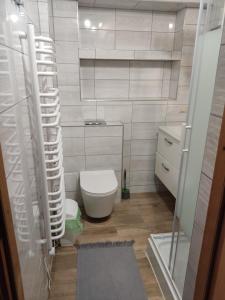Kúpeľňa v ubytovaní Apartamenty u drwala