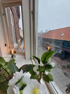a window with a plant and a view of a city at Charming Apartment On Pedestrian Street Randers in Randers