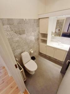 La salle de bains est pourvue de toilettes et d'un lavabo. dans l'établissement Charming Apartment On Pedestrian Street Randers, à Randers