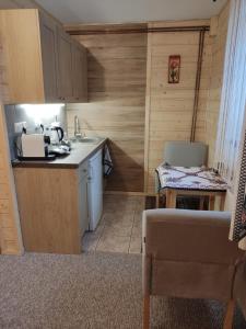 Kuchyňa alebo kuchynka v ubytovaní Apartamenty u drwala