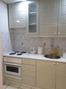 a kitchen with a stove and a sink at Apartman Dreams in Novi Sad