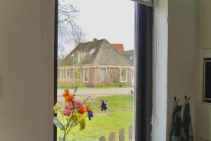 Vakantiehuis 't Hofje nabij dorpscentrum en strand في كاستريكوم: مزهرية من الزهور تقف على حافة النافذة