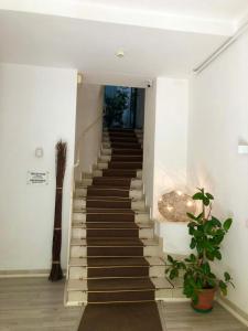 Fotografie z fotogalerie ubytování Hotel Arcadia v destinaci Macerata