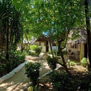 a garden with a house and trees and a path at Fontaine Garden Village in Bwejuu