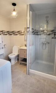 a bathroom with a shower and a toilet and a sink at Maison des Ollivier - Maison Campagne Fécampoise in Toussaint