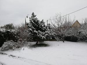 einen schneebedeckten Hof mit Bäumen und einem Haus in der Unterkunft 14 Rue le Menestrel in Dreux
