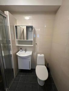 ein kleines Bad mit WC und Waschbecken in der Unterkunft Welcome to Heddalsvegen 43, Notodden's most welcoming dormitory! in Notodden