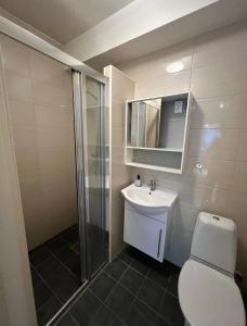 ein Bad mit einem WC, einem Waschbecken und einer Dusche in der Unterkunft Welcome to Heddalsvegen 43, Notodden's most welcoming dormitory! in Notodden