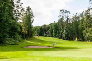 a person on a golf course with a green at Jyske ås in Dybvad