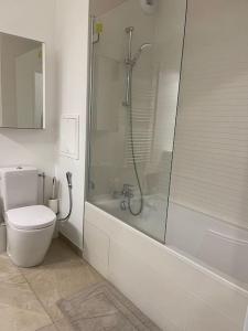 La salle de bains est pourvue de toilettes et d'une douche en verre. dans l'établissement Cosy Appartement, à Saint-Germain-en-Laye