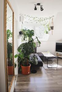 Μια τηλεόραση ή/και κέντρο ψυχαγωγίας στο Urban Jungle Apartment 1 - Free Parking