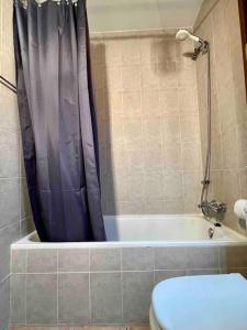 y baño con cortina de ducha azul y aseo. en Apartamento Les Orenetes, en Espinelvas