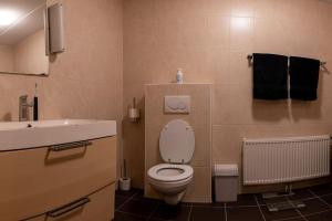 a bathroom with a white toilet and a sink at Ruim vakantiehuis met mooie tuin op de Veluwe in Putten +33 photos