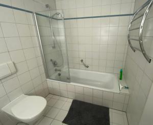 a bathroom with a shower and a toilet and a tub at Ferienwohnung am Obertor in Pfullendorf