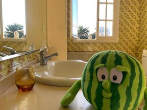 Puenteareas的住宿－La maison d'Abelleira，水仙坐在盥洗盆旁的浴室台上