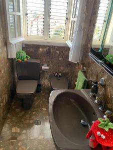 a bathroom with a sink and a toilet at La maison d'Abelleira in Puenteareas
