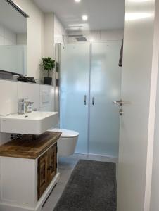 a bathroom with a sink and a toilet and a shower at Lilli`s Ferienwohnung in Sinsheim