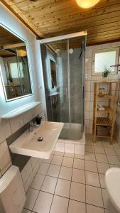a bathroom with a sink and a shower at Useriner Ferienhaus in Userin