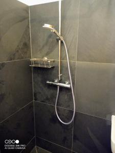 a shower with a shower head in a bathroom at Gemütliche Premium Öko Ferienwohnung in Resthof, super ausgestattet, keine Handwerker und Monteure in Sterley