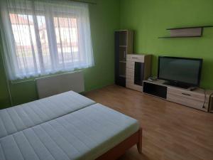 a bedroom with a bed and a flat screen tv at Schönes Ferienhaus mit Pool in Balatonújlak