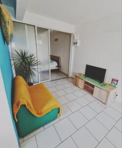 een woonkamer met een bank en een televisie bij appartement T2 avec jacuzzi in Baie-Mahault