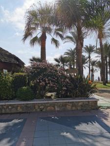 a park with palm trees and flowers and a sidewalk at Apartamento en el centro de Torremolinos in Torremolinos