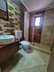 een badkamer met een toilet, een wastafel en een douche bij CABANA FRAM VÂRTOP in Nucet