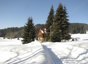 een huis in een met sneeuw bedekt veld met bomen bij Chata Polka in Horní Vltavice