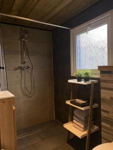 La salle de bains est pourvue d'une douche et d'une fenêtre. dans l'établissement gezellige cottage in zeeland, à Sint-Annaland