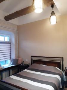 1 dormitorio con 1 cama y 2 luces colgantes en Апартаменти ''Комфорт'', en Kamianets-Podilskyi