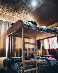 a bunk bed with a ladder in a room at WTF! What The Forest vashisht manali in Manāli
