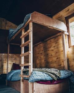 a bunk bed in a room with a ladder at WTF! What The Forest vashisht manali in Manāli