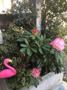 a bunch of pink flowers and a pink flamingo at Accommodation Service B&B in Miyazaki