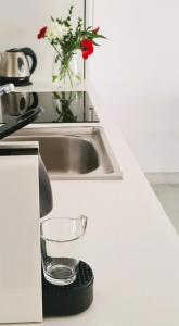 a kitchen sink with a glass bowl on a holder at Appartamento Nadia, bilocale nel verde a 5 minuti dal centro in Merano