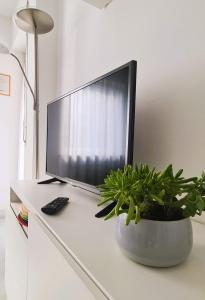 - une télévision assise au-dessus d'une table avec une plante dans l'établissement Appartamento Nadia, bilocale nel verde a 5 minuti dal centro, à Merano